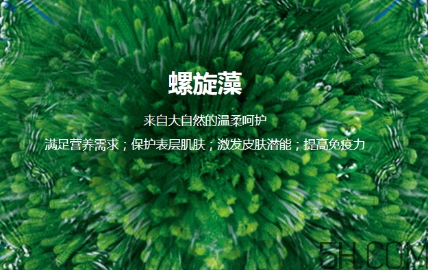 lantern蘭亭是什么牌子？蘭亭是哪個國家的什么檔次