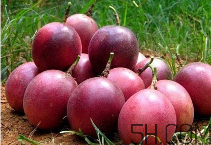 百香果幾月份的最好吃？百香果一次可以吃幾個(gè)？