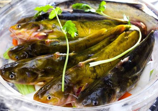 黃骨魚是發(fā)物嗎？黃骨魚是什么魚？