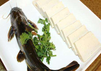 黃骨魚有刺嗎？黃骨魚有毒嗎？