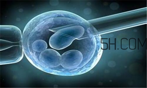 人工授精取卵子怎么??？人工授精男人怎樣取精？