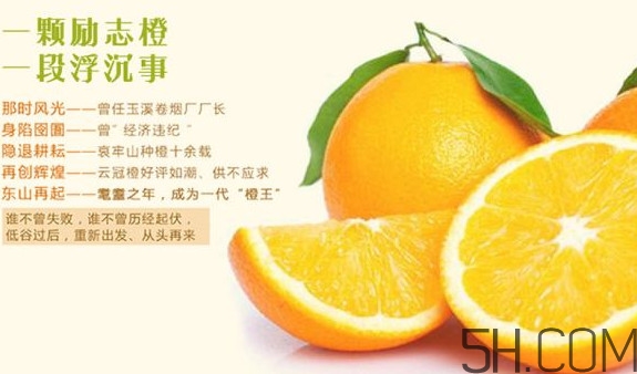褚橙多少錢(qián)一斤？褚橙為什么這么貴