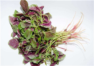 莧菜是酸性還是堿性？吃莧菜有什么好處？