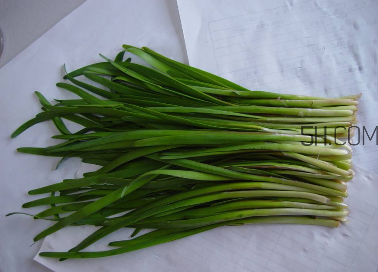 韭菜怎么保存？韭菜傷胃嗎？