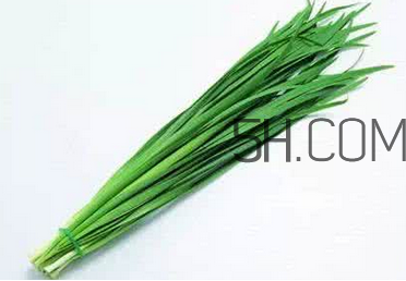 立秋后可以種韭菜嗎？怎樣種韭菜？