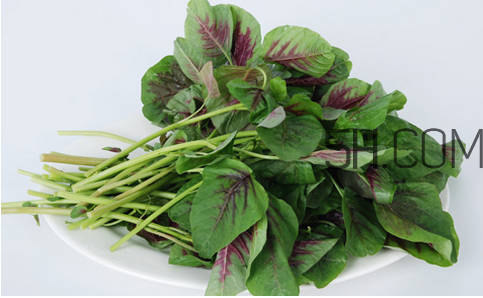莧菜為什么是紅的？莧菜是涼性的嗎？