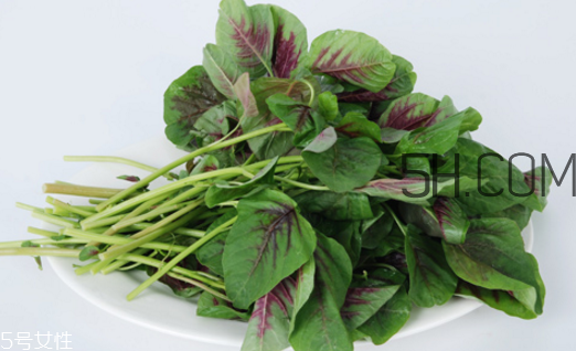 上火能吃咸莧菜嗎？寶寶能吃莧菜嗎？