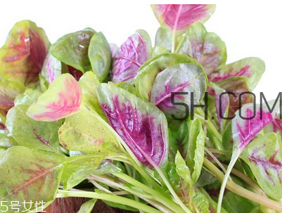 上火能吃咸莧菜嗎？寶寶能吃莧菜嗎？