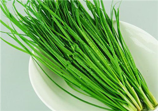 立秋后可以種韭菜嗎？怎樣種韭菜？