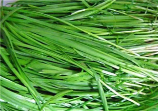 秋天吃韭菜好嗎？韭菜和莧菜能一起吃嗎？