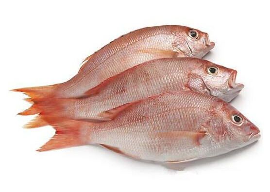 鯛魚多少錢一斤？鯛魚魚骨有什么營養(yǎng)價(jià)值