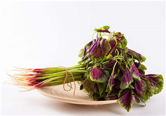 莧菜為什么是紅的？莧菜是涼性的嗎？