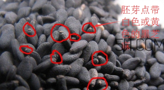 黑芝麻清洗掉色正常嗎？黑芝麻有黑色素嗎？