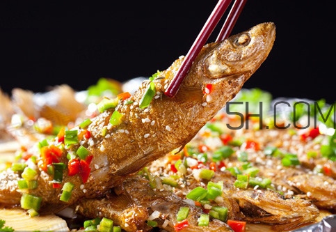 刁子魚(yú)是什么魚(yú)？刁子魚(yú)是翹嘴鲌嗎