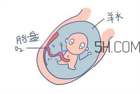 怎么防止羊水早破？羊水早破的危害