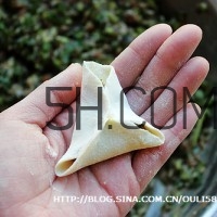 餃子和面用熱水還是冷水？餃子和面要醒多長時間？