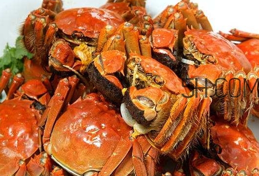 孕婦吃螃蟹多久流產(chǎn)？孕婦吃多少螃蟹會流產(chǎn)？