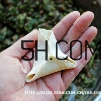 怎么包餃子快又好看？十種家常包餃子的方法~