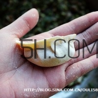 餃子和面用熱水還是冷水？餃子和面要醒多長時間？