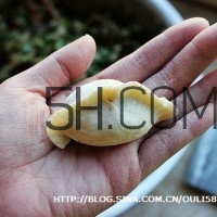 餃子和面用熱水還是冷水？餃子和面要醒多長時間？