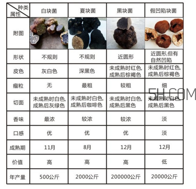 松露怎么分辨真假？松露怎么清洗