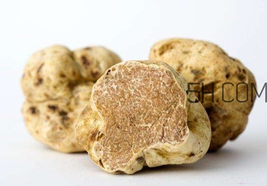 松露怎么分辨真假？松露怎么清洗
