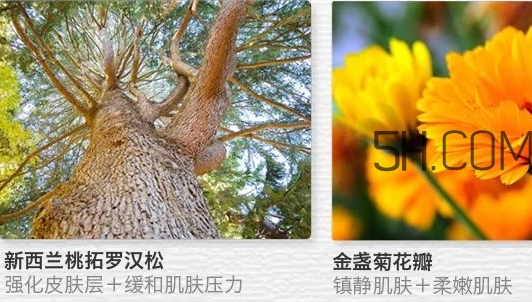 the saem得鮮眼霜適合什么年齡？得鮮眼霜怎么樣？