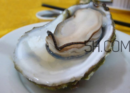 海蠣子壯陽(yáng)嗎？海蠣子有寄生蟲嗎