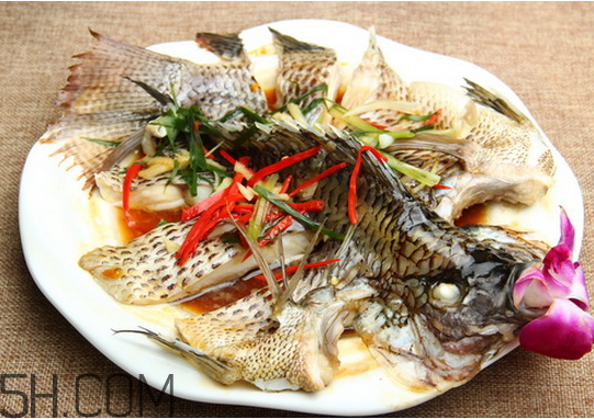 沒(méi)有魚(yú)刺的魚(yú)是哪種魚(yú)？如何挑選魚(yú)？