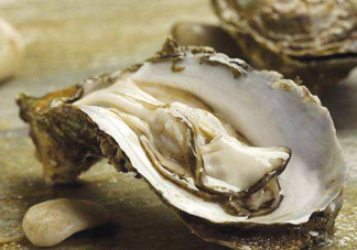海蠣子是生蠔嗎？海蠣子和生蠔的區(qū)別
