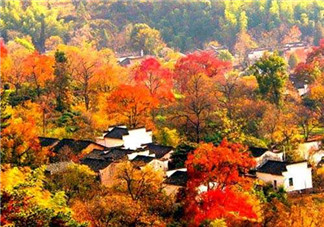 秋季滋補養(yǎng)生越補越好嗎？2017年秋天是幾月份？