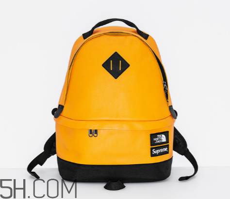 supreme與the north face2017秋冬聯(lián)名發(fā)售時(shí)間_多少錢(qián)？