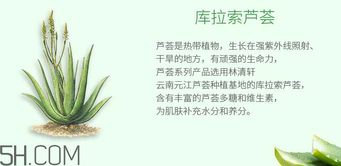 林清軒蘆薈面膜泥怎么樣？林清軒蘆薈面膜泥測(cè)評(píng)
