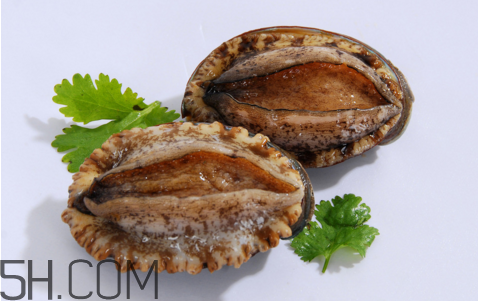 鮑魚吃了會上火嗎？鮑魚是發(fā)物嗎？