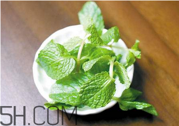 感冒可以喝酒嗎？薄荷治療感冒的方法