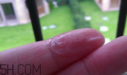 百雀羚乳液多少錢一瓶？百雀羚乳液專柜價格