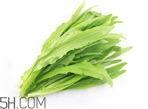 油麥菜是轉(zhuǎn)基因蔬菜嗎？油麥菜是發(fā)物嗎