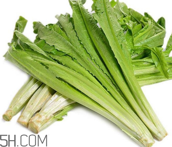 油麥菜是酸性還是堿性？油麥菜是什么季節(jié)的菜