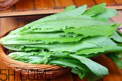 西紅柿和油麥菜能一起吃嗎？油麥菜能包餃子嗎