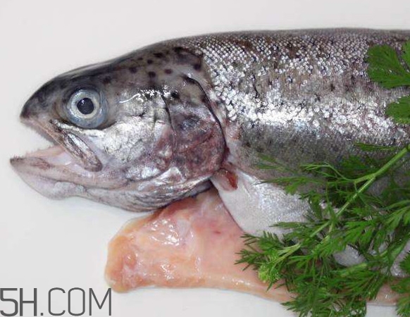 鮭魚(yú)是什么魚(yú)？鮭魚(yú)多少錢(qián)一斤