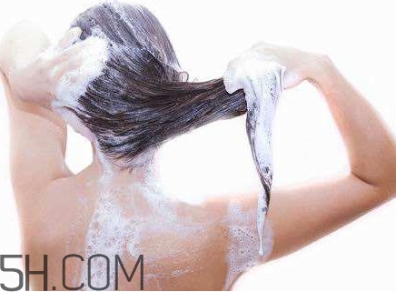 醋洗頭是白醋還是陳醋？用醋洗頭要用洗發(fā)水嗎？