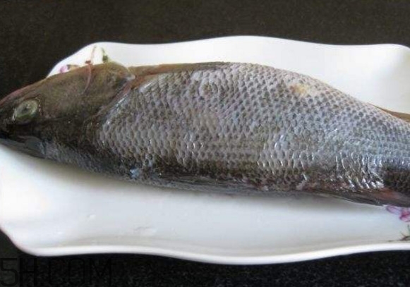 鮭魚是三文魚嗎？鮭魚的營養(yǎng)價值