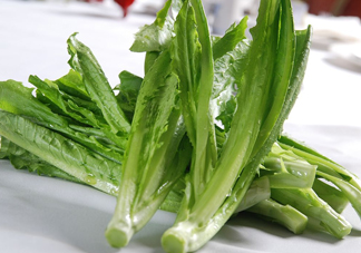 油麥菜為什么叫油麥菜？油菜和油麥菜的區(qū)別