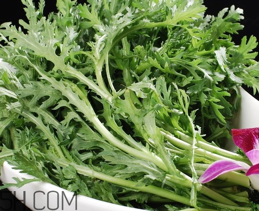 皇帝菜是什么樣子？皇帝菜又叫什么菜
