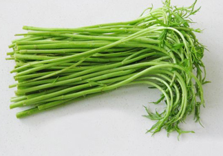 藜蒿多少錢一斤？藜蒿和蘆蒿是同一種菜嗎？