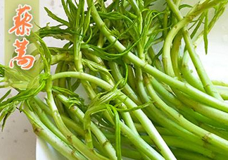 藜蒿什么季節(jié)有？藜蒿是發(fā)物嗎