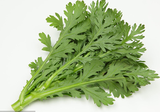 皇帝菜是什么樣子？皇帝菜又叫什么菜