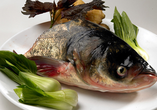 胖頭魚吃什么？胖頭魚怎么殺