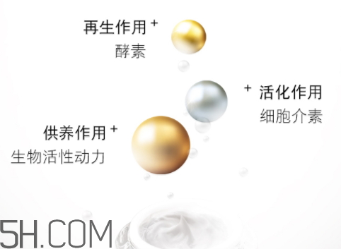 伊詩(shī)貝格輪廓緊致面膜怎么樣？伊詩(shī)貝格輪廓緊致面膜多少錢(qián)？