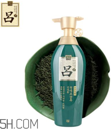綠呂洗發(fā)水怎么樣？綠呂洗發(fā)水適合人群